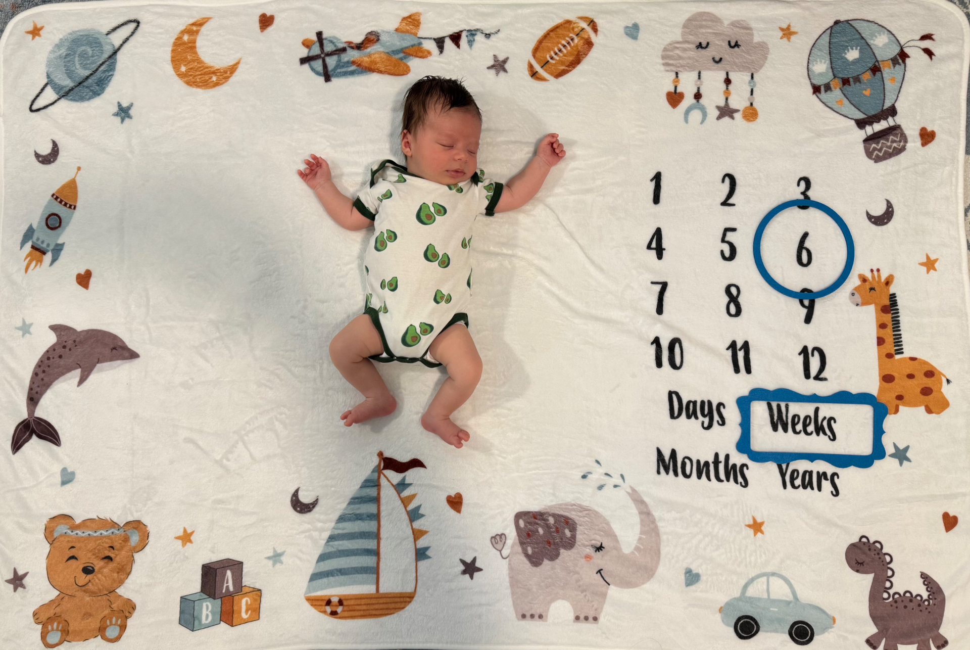 Ollie on milestone blanket at 6 weeks old